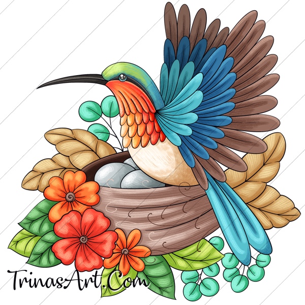 (image for) Hummingbird Nest & Eggs 1 Clip Art